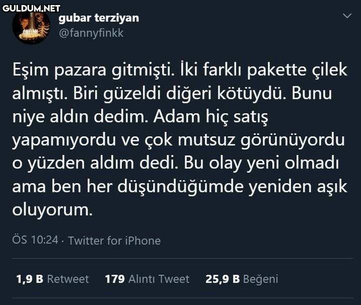 gubar terziyan @fannyfinkk...
