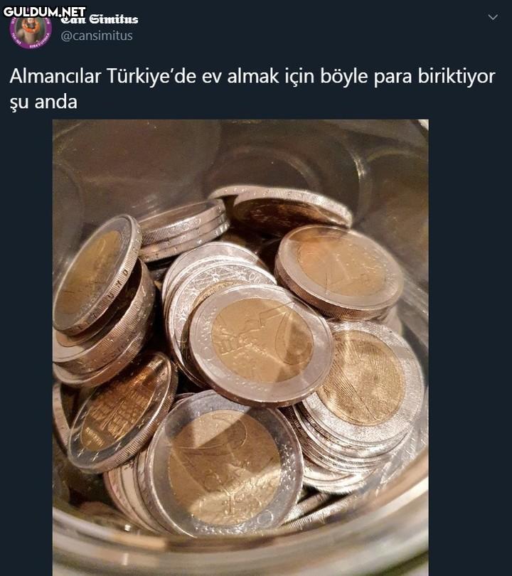 Can Simitus @cansimitus...