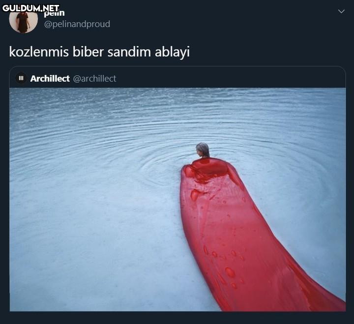 pelin @pelinandproud...