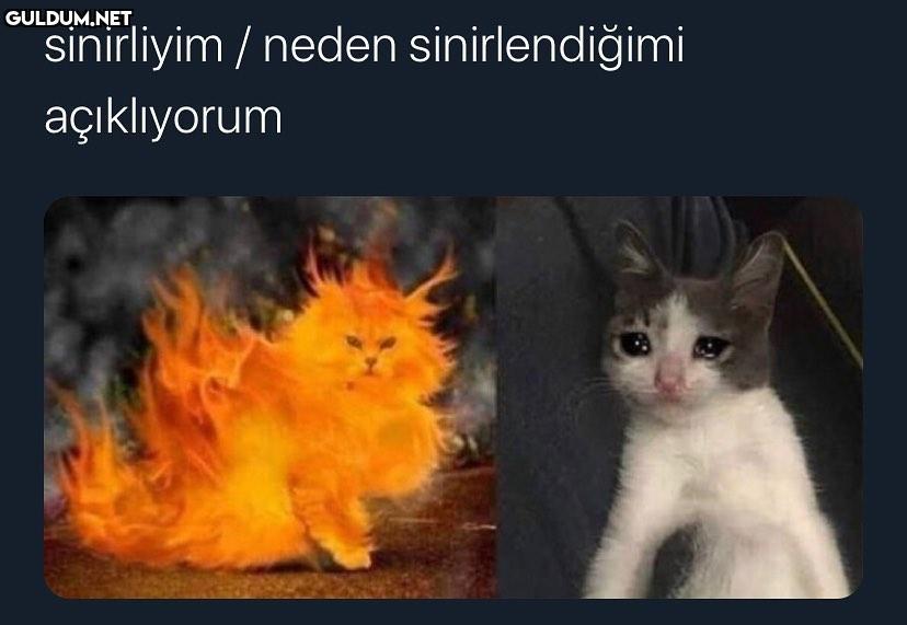 sinirliyim / neden...