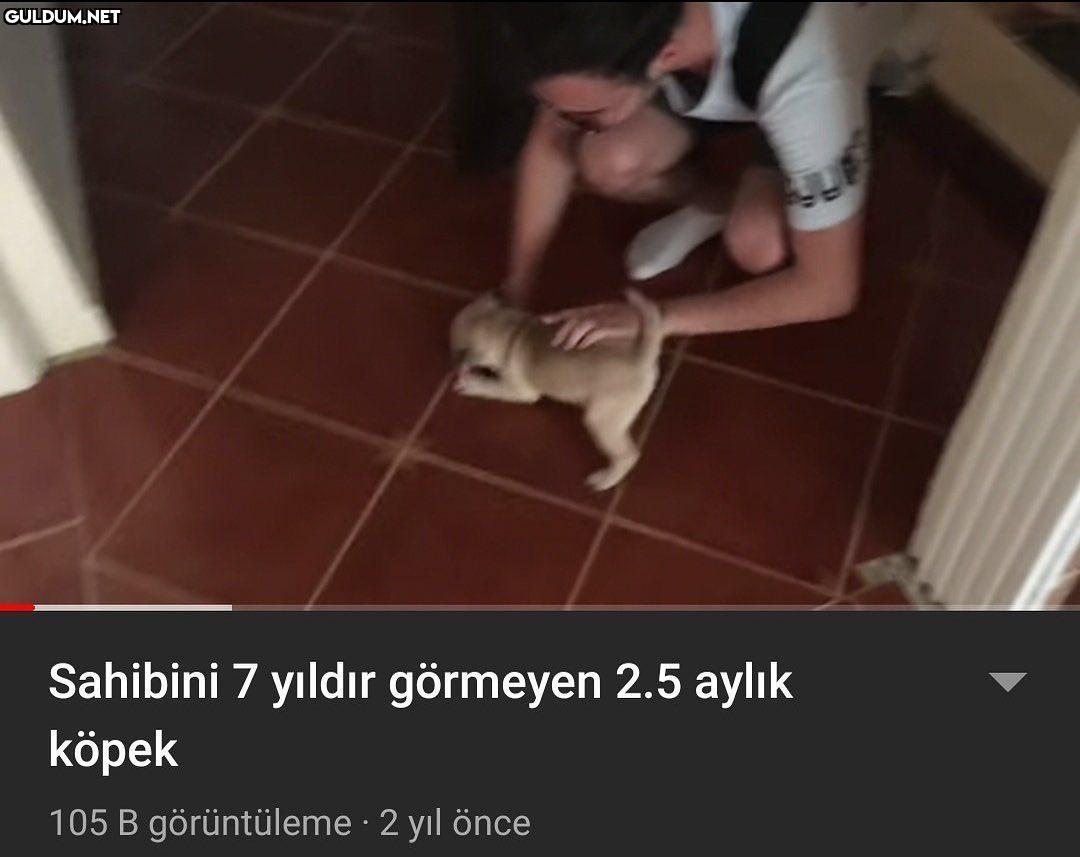 Sahibini 7 yıldır görmeyen...