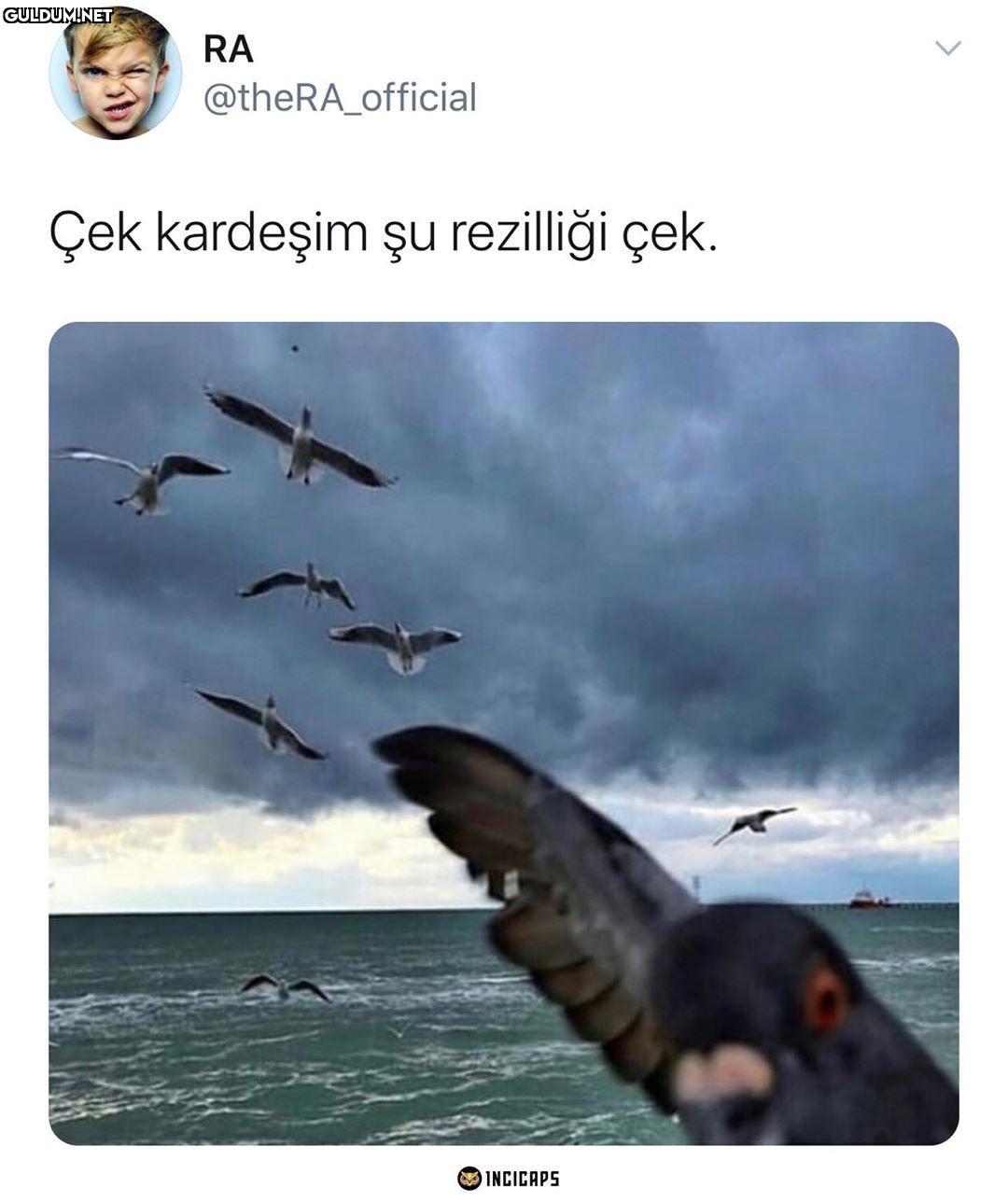 Ziyanlığı tersoluğu...