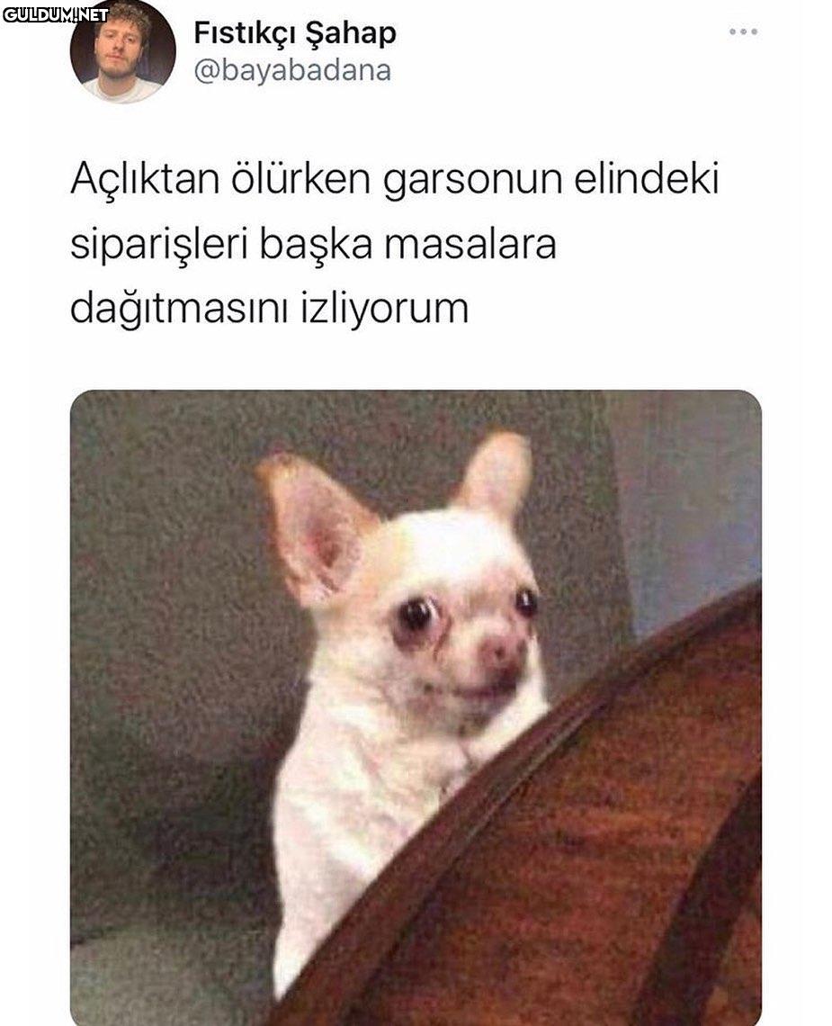 Fıstıkçı Şahap @bayabadana...