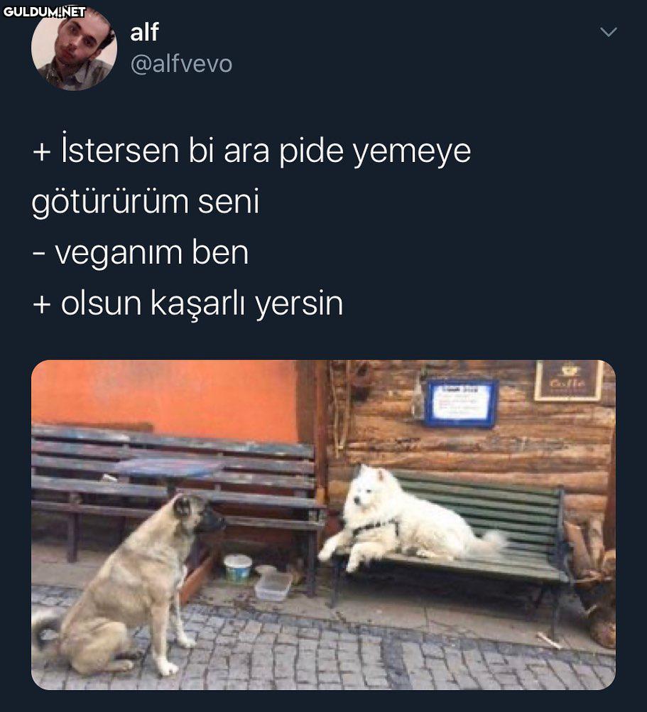 alf @alfvevo + İstersen bi...