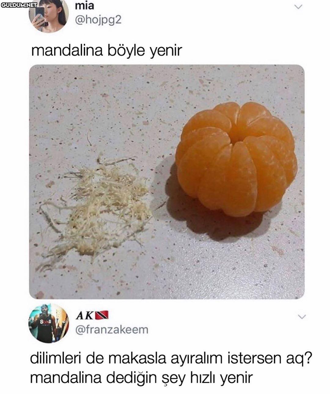 mia @hojpg2 mandalina...