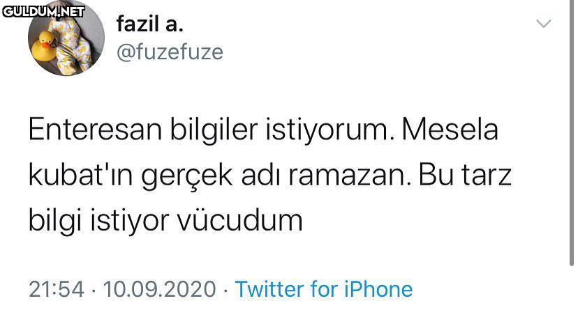 Dut yiyen bülbül ishal...
