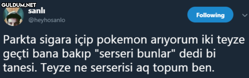 sanlı Following...
