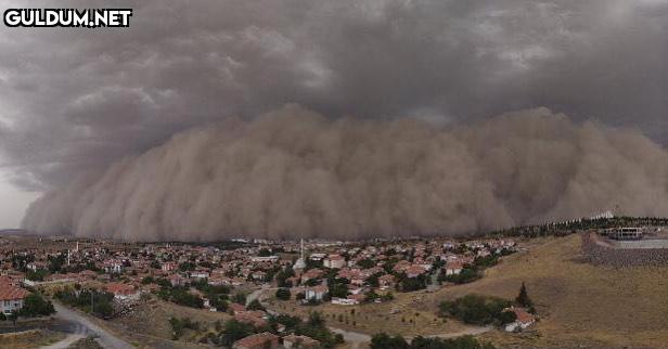 Mad Max: Ankara İMDb 8,1  Kaynak