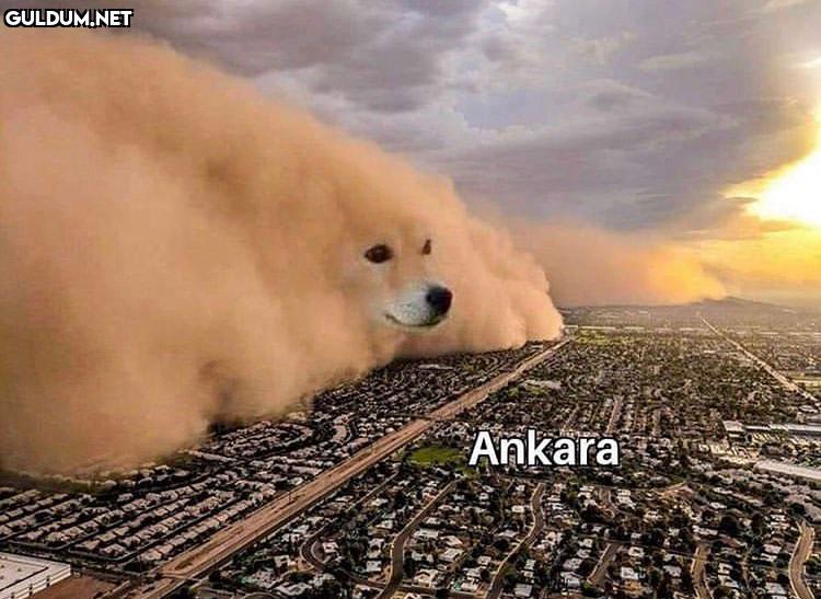 alan daraliyor Ankara   Kaynak