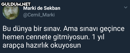 Marki de Sekban...