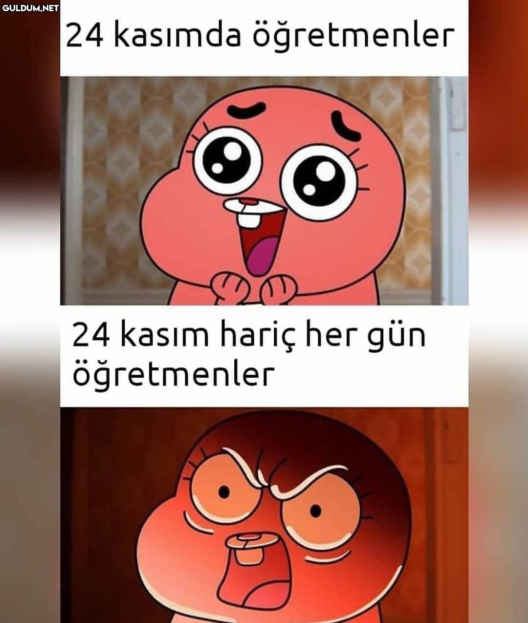 24 kasımda öğretmenler 24...