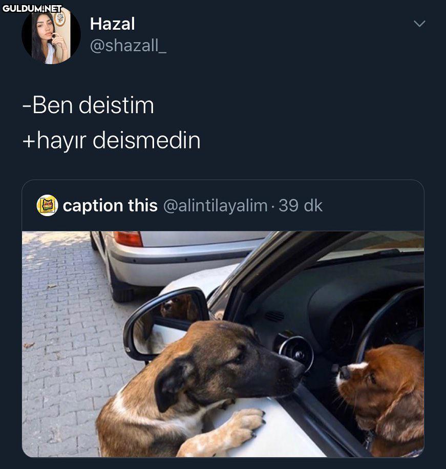 Hazal @shazall_ -Ben...