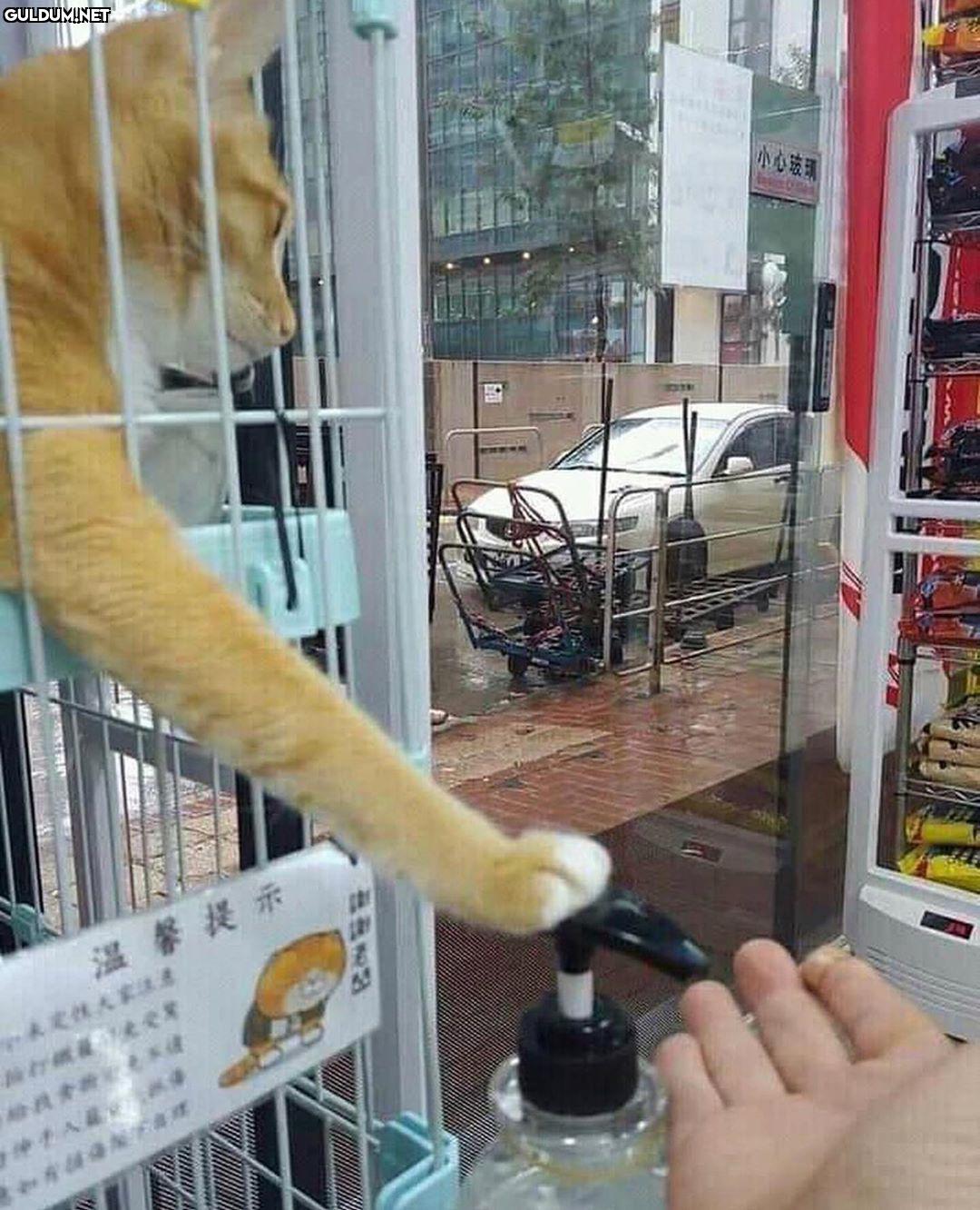 dostum elimize dezenfektan...