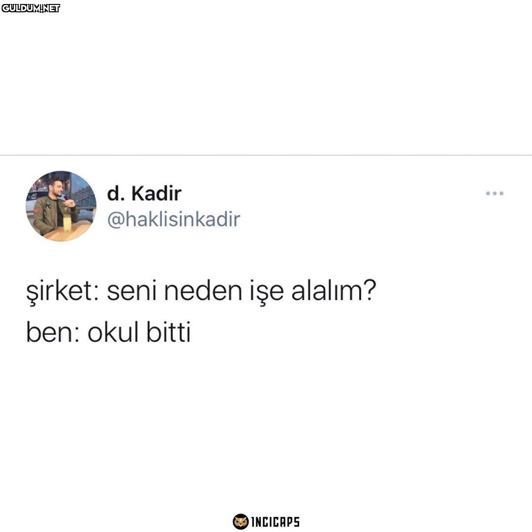 Aşırı mantıklı kardeşim d....