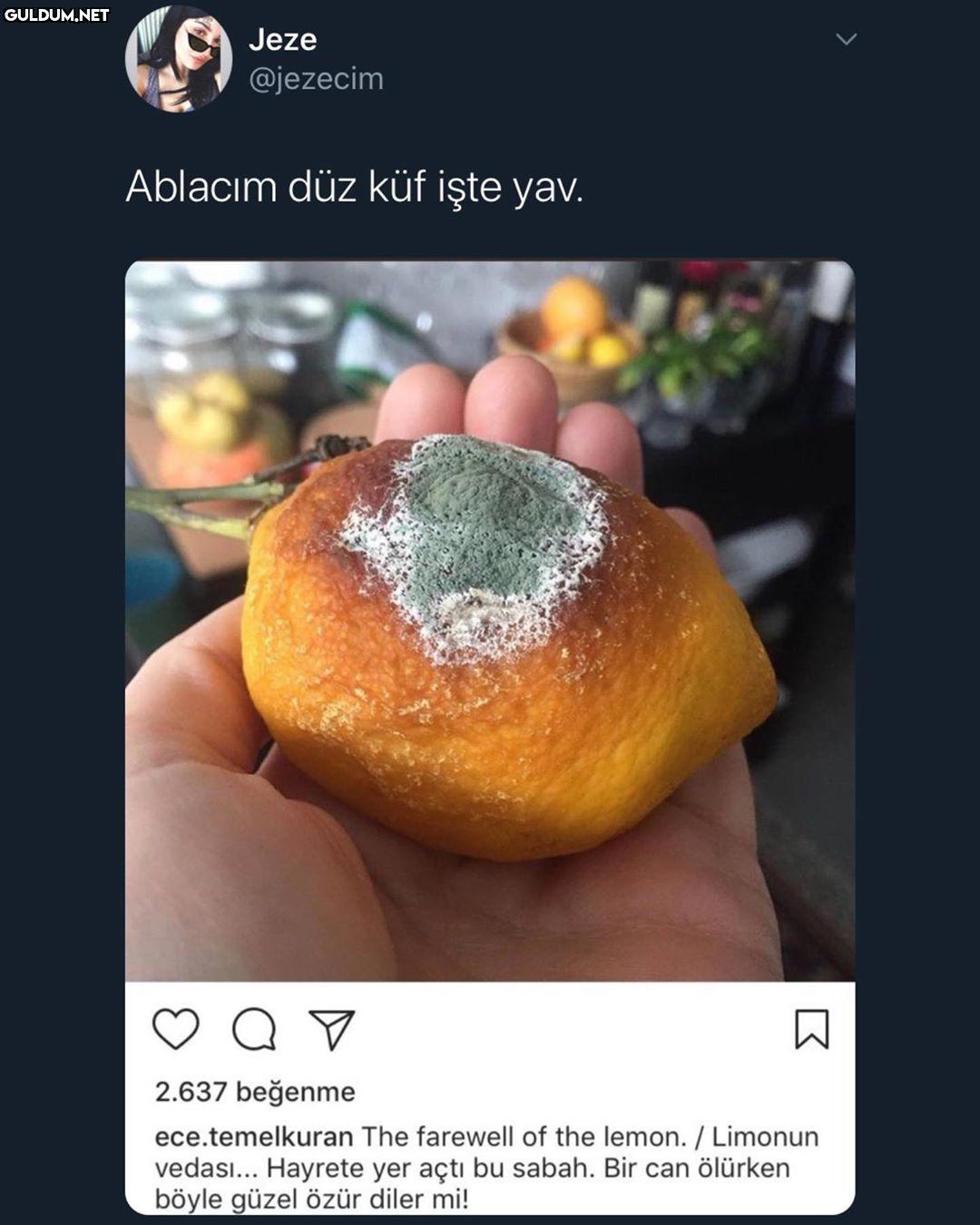 küf felsefesi.. Jeze...