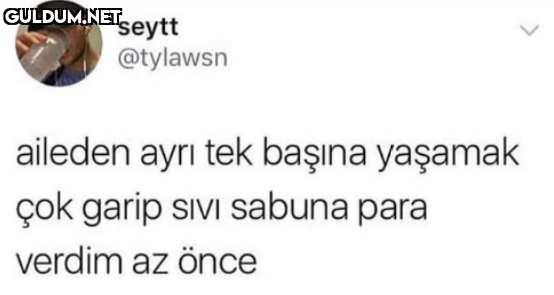 seytt @tylawsn aileden...
