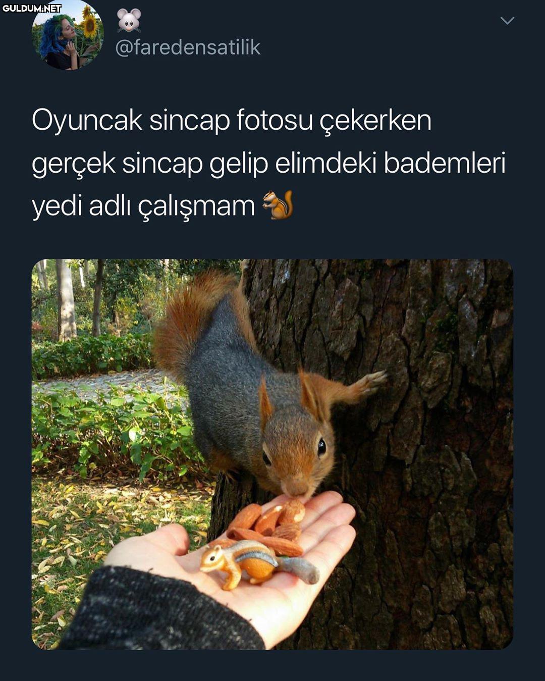 iyi denk gelişler...