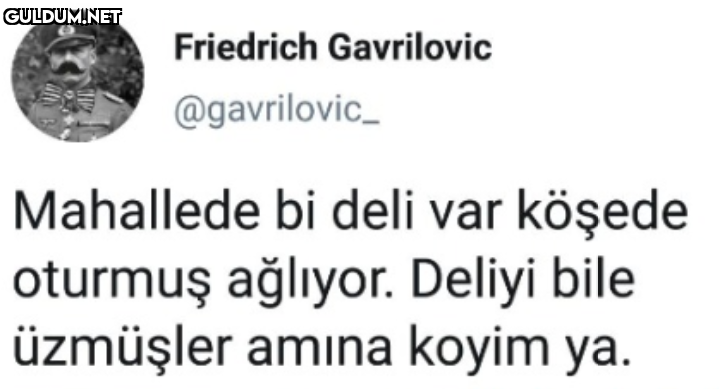 Friedrich Gavrilovic...