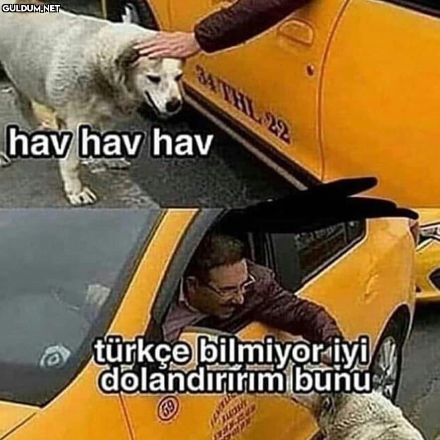 Bizim oğlanın düğünü de...