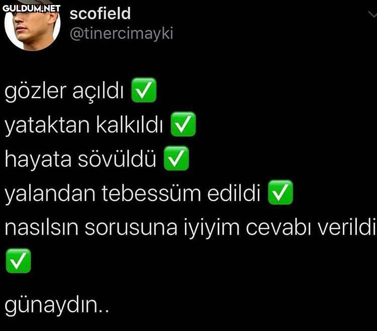günaydın... scofield...