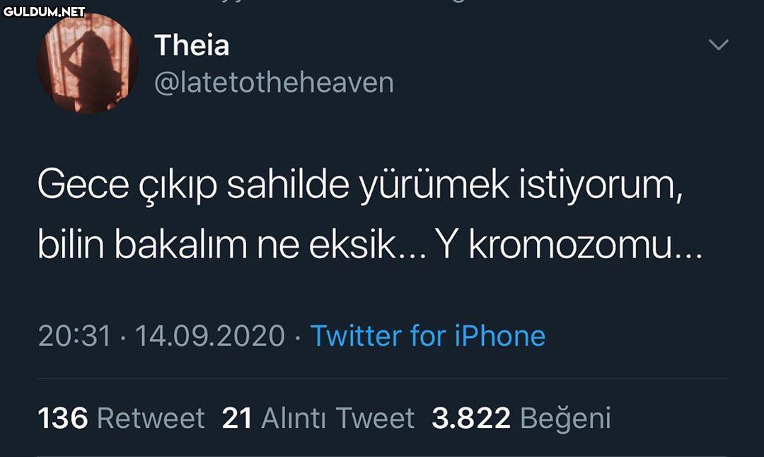 üzücü durum Theia...