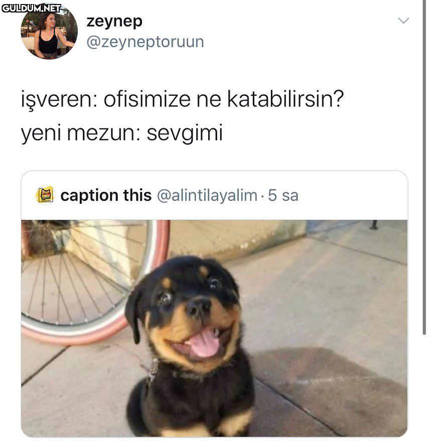 biz sizi ararız zeynep...