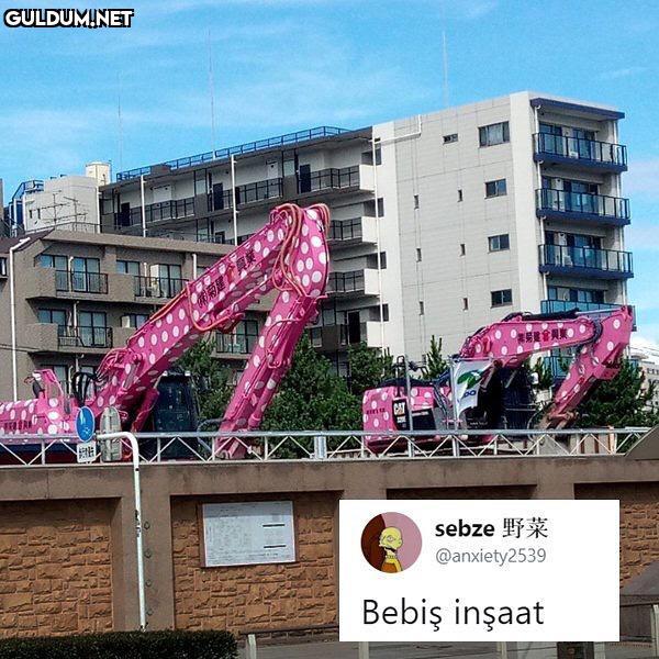 sebze 野菜 @anxiety2539...