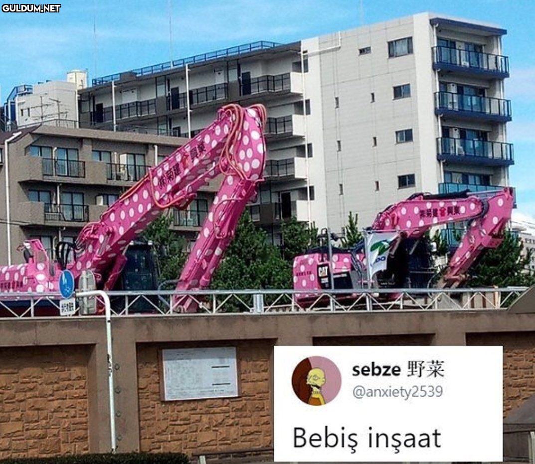 o renkte olmasının...
