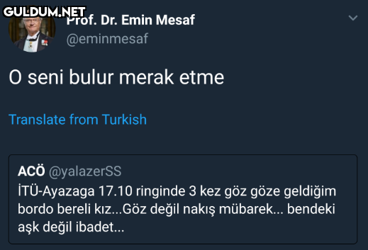 Prof. Dr. Emin Mesaf...