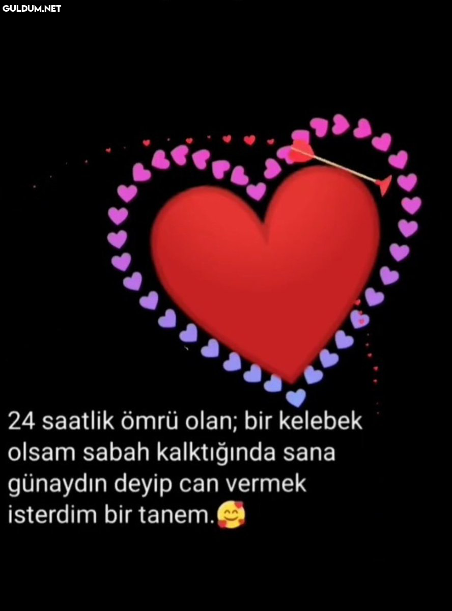 abart   24 saatlik ömrü...