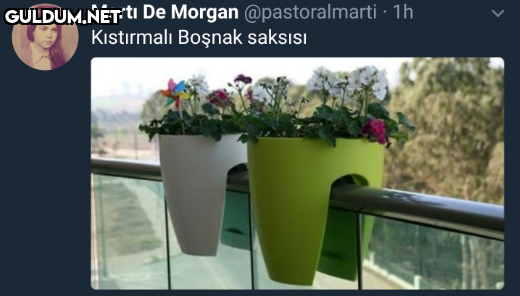Martı De Morgan...