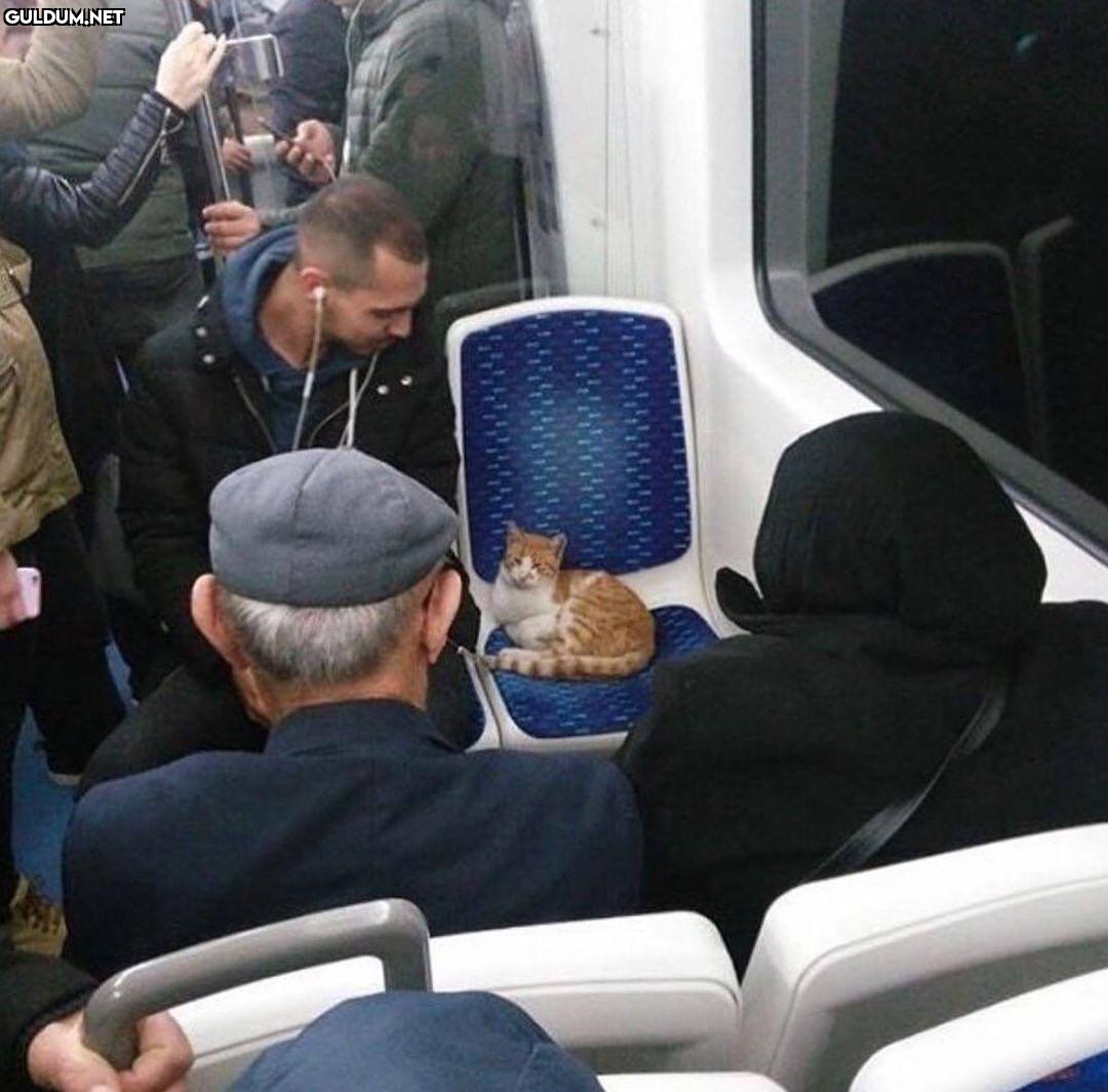 Günaydın 😊  Kaynak
