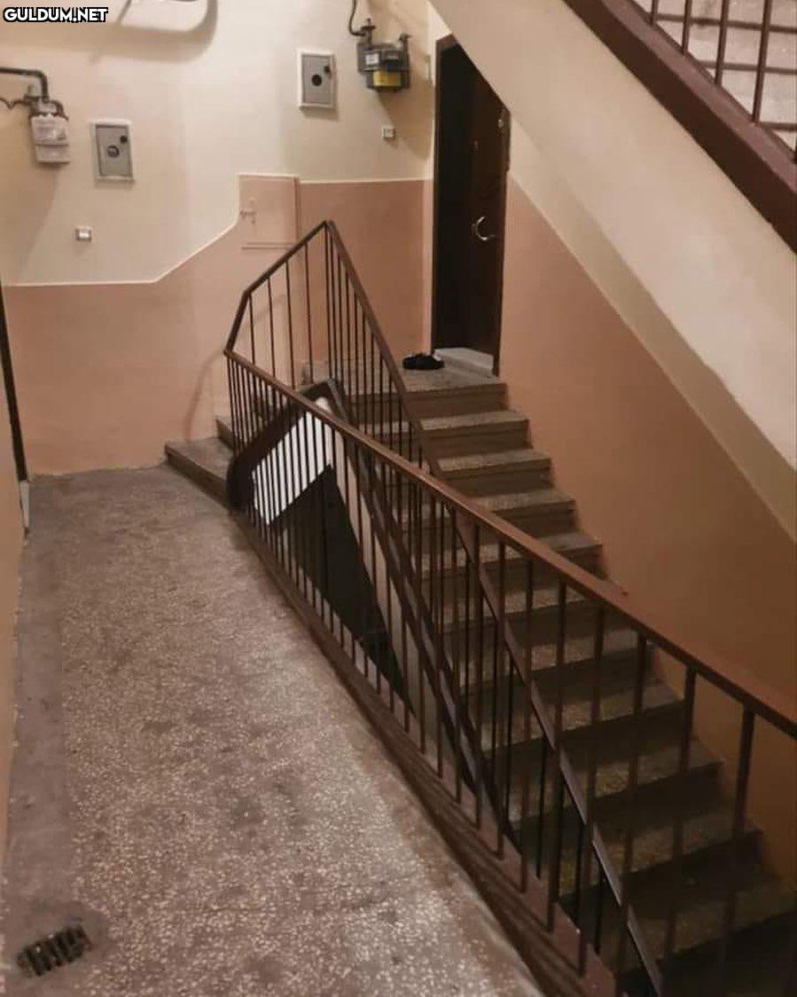 Inception Apartmanı  Kaynak