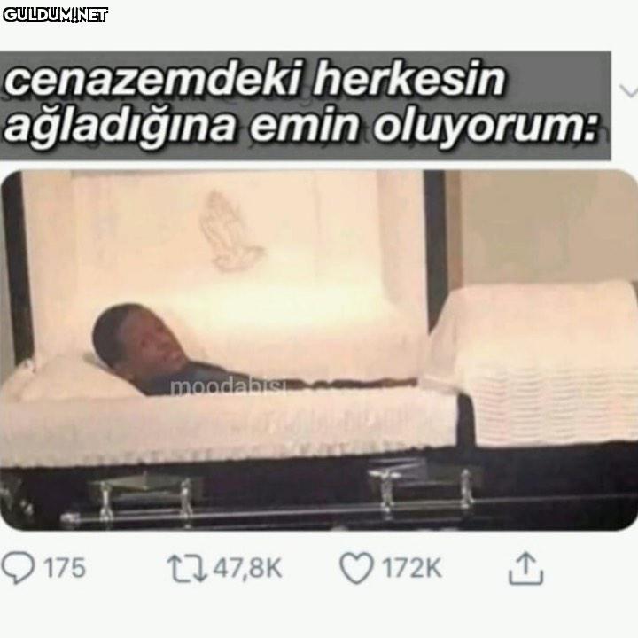 cenazemdeki herkesin...