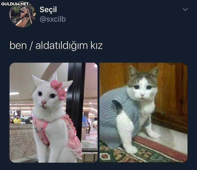 hiç sekmez Seçil @sxcilb...