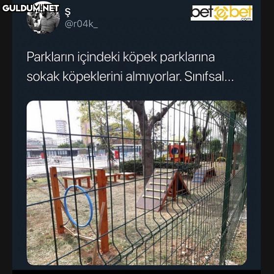 Bu olay beni bir miktar...