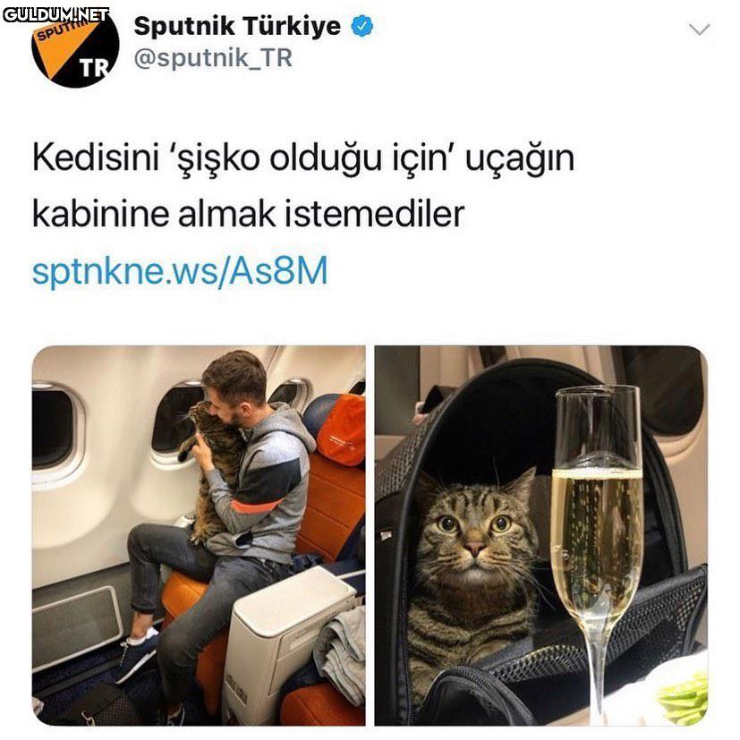 bu haber beni çok üzdü...