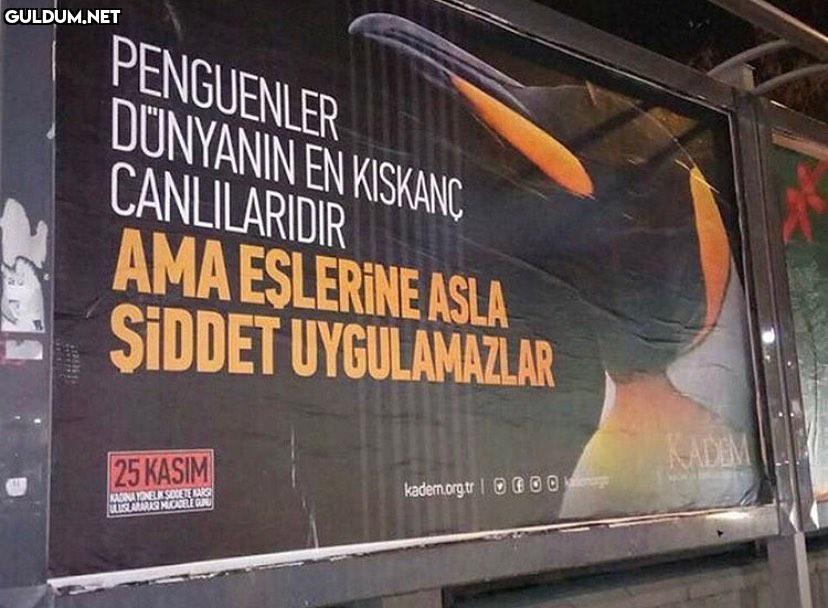 PENGUENLER DUNYANIN EN...