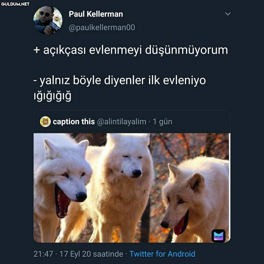 Klasik muhabbet Paul...