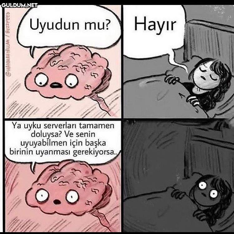 Ananı avradını ??? Uyudun...