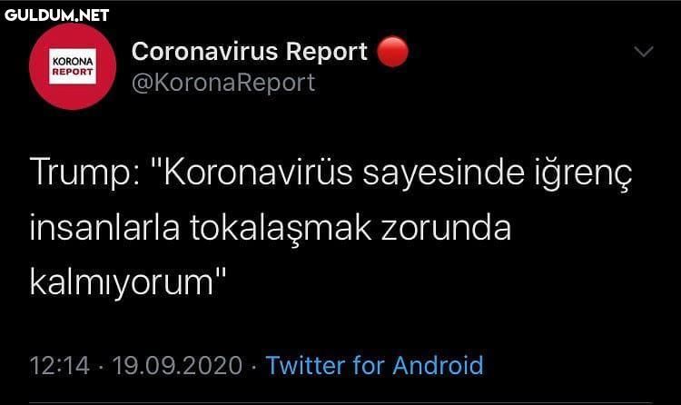 Coronavirus Report...