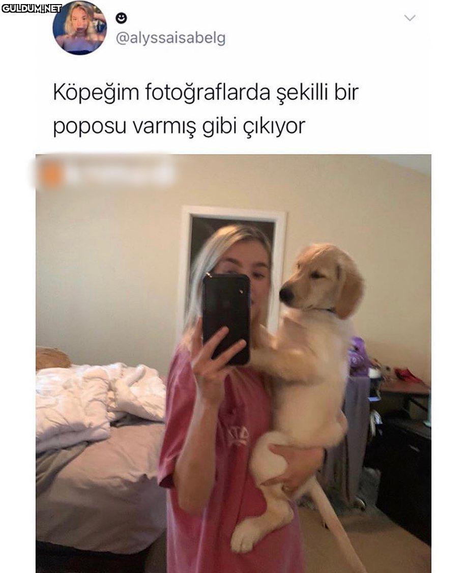 cok tatli ahshsjskd...