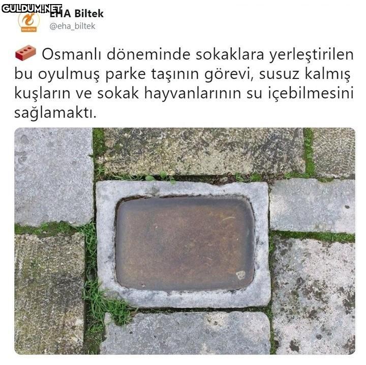 EHA Biltek @eha_biltek...