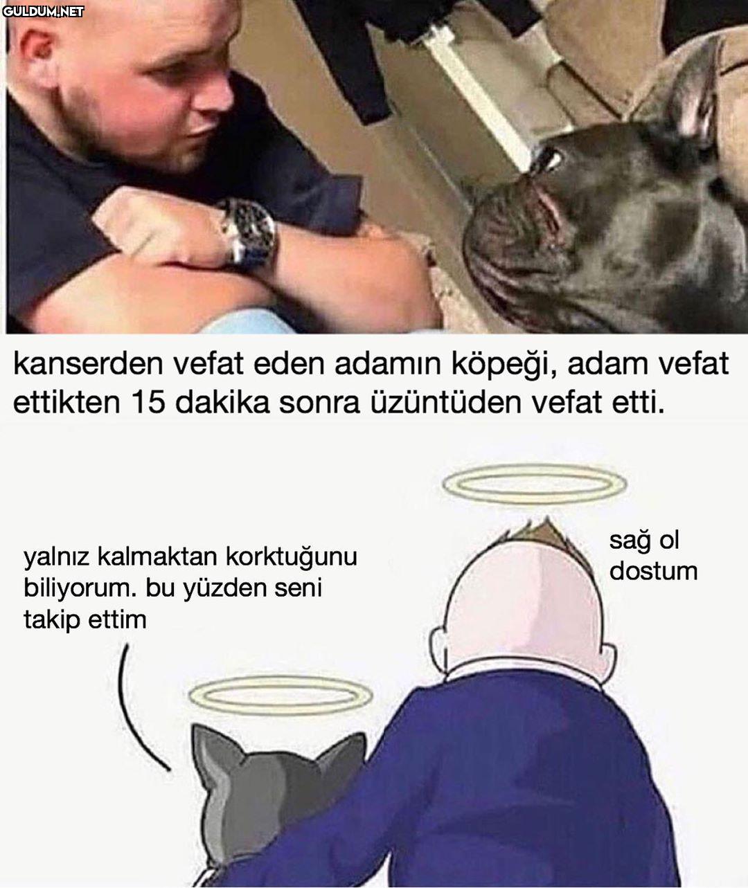 aşırı üzücü olay...