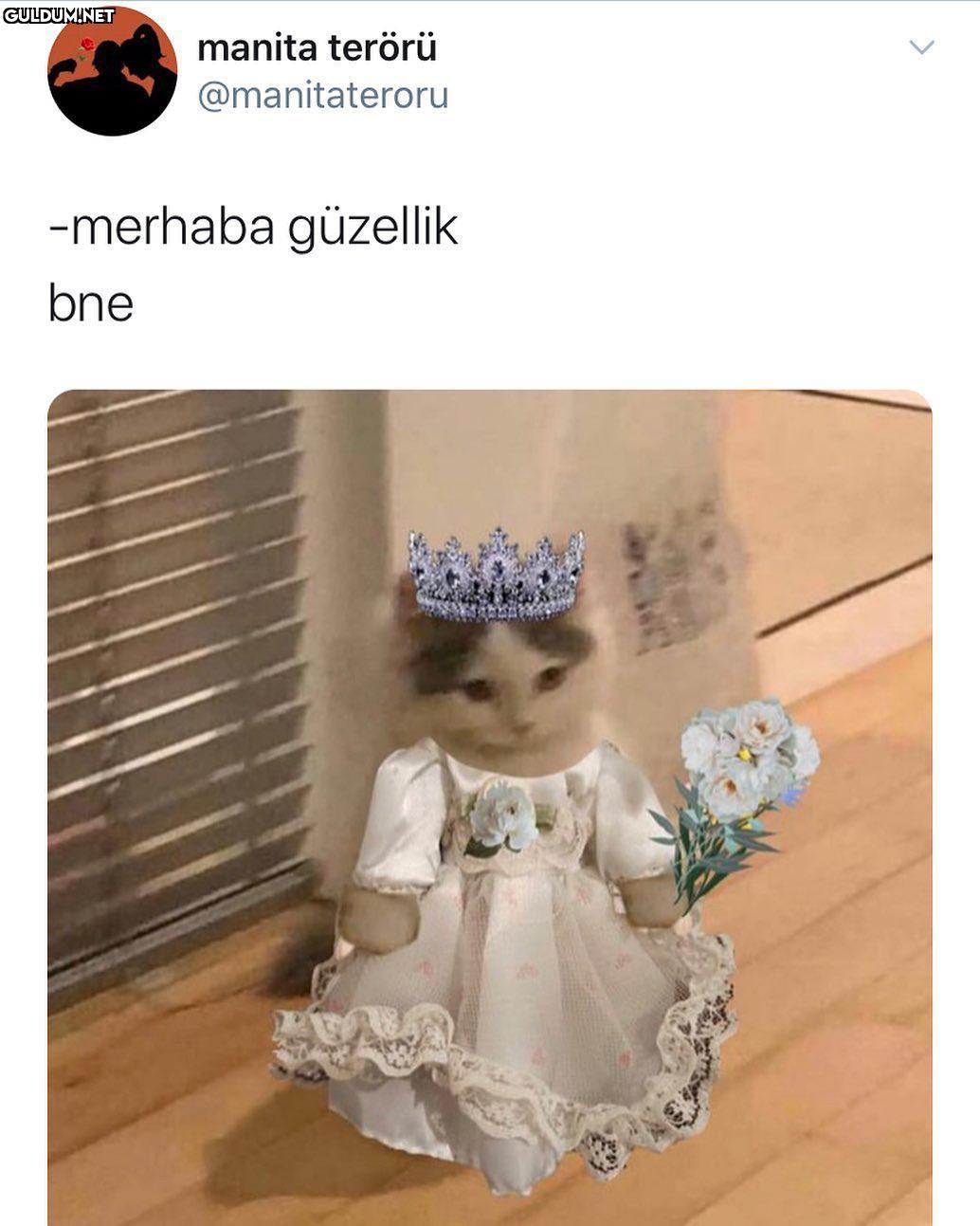 manita terörü...