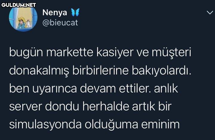 bu tweet, içinde yaşadığım...