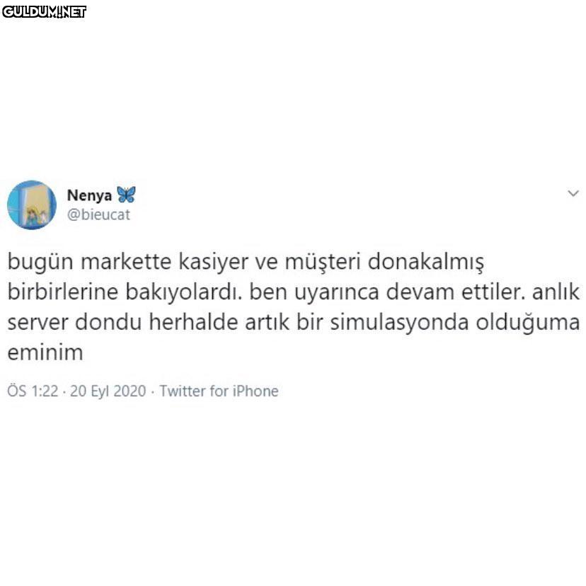Nenya @bieucat bugün...