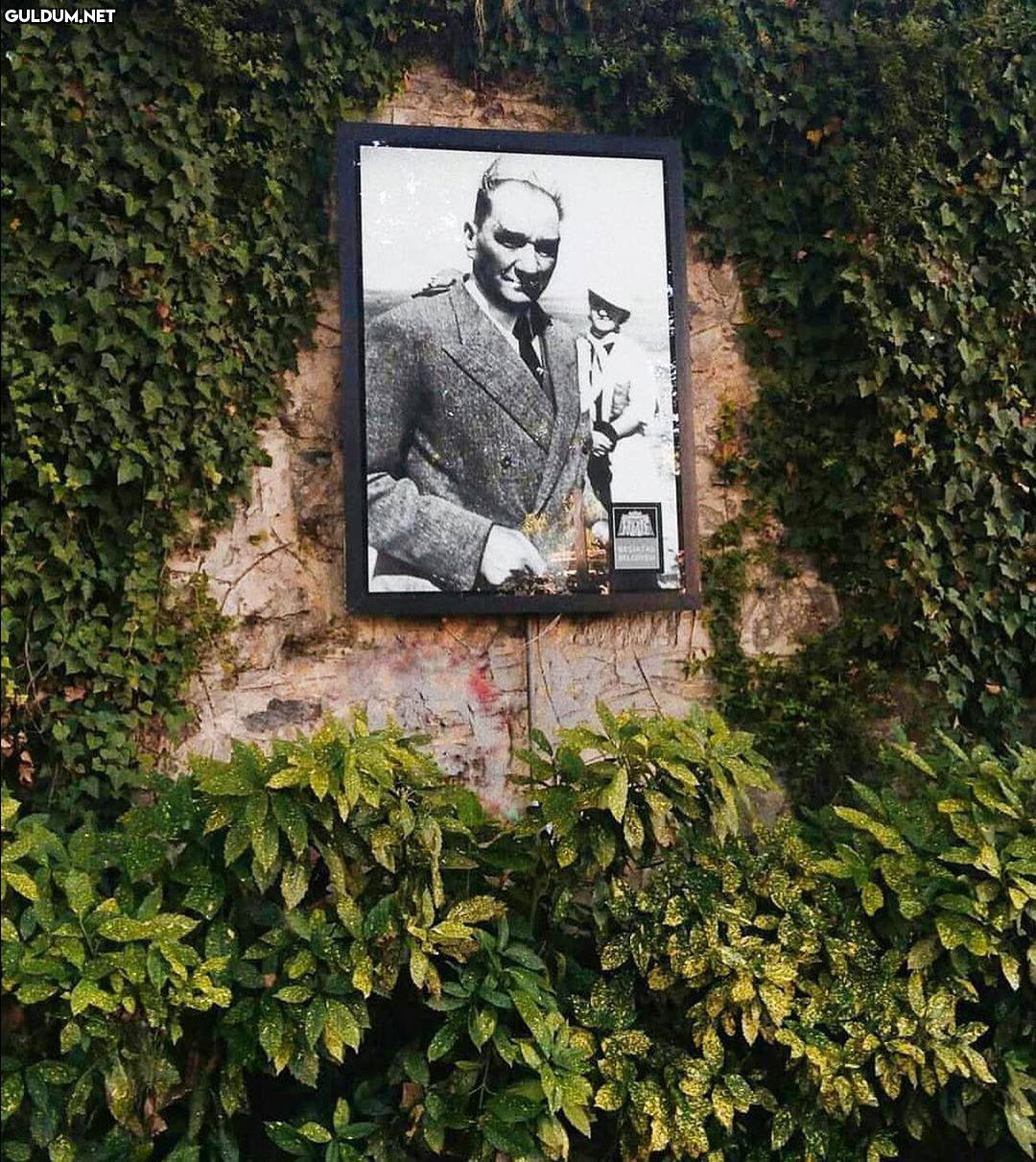 güzel bir fotoğrafa denk...