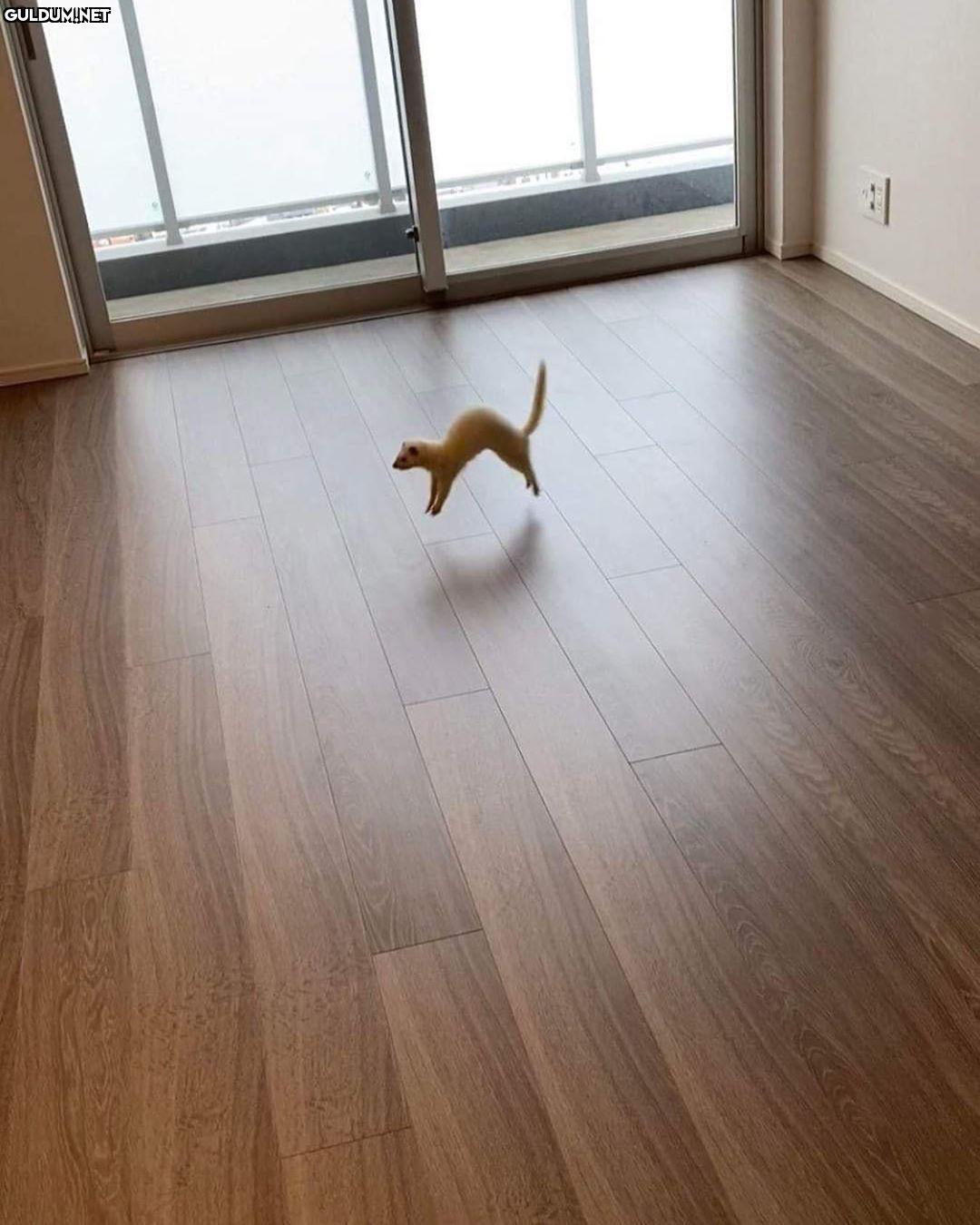 anlamsız fotoğraflar 904  Kaynak