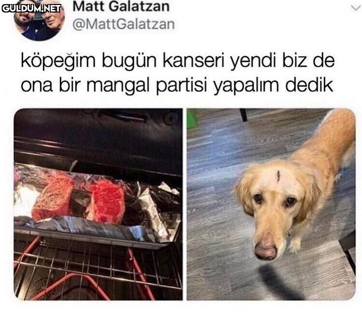 Matt Galatzan...